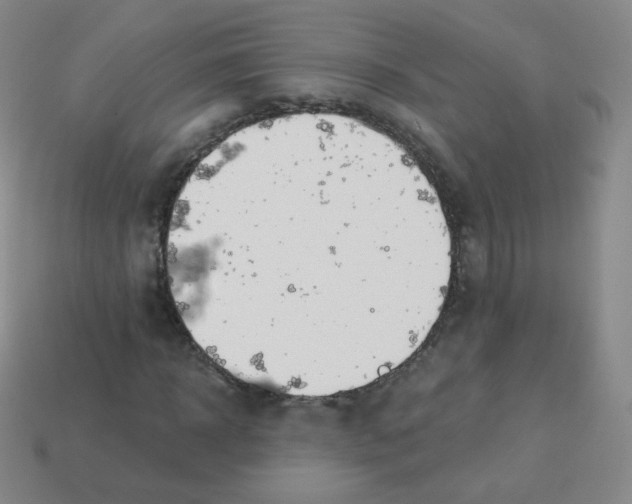 X0000113900918200910221435