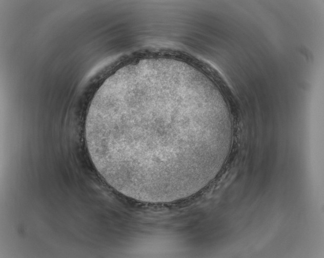 X0000113900919200910221435