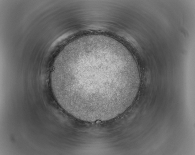 X0000113900920200910221435