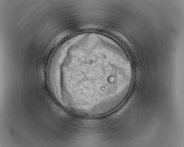 X0000113900921200910221435