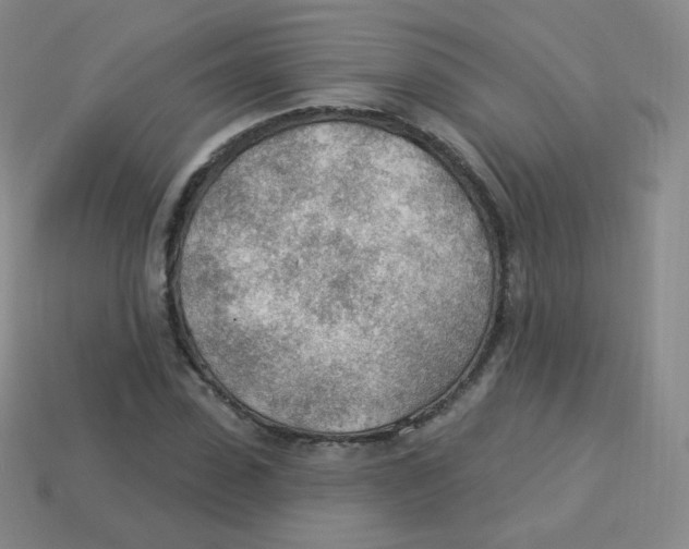 X0000113900923200910221435