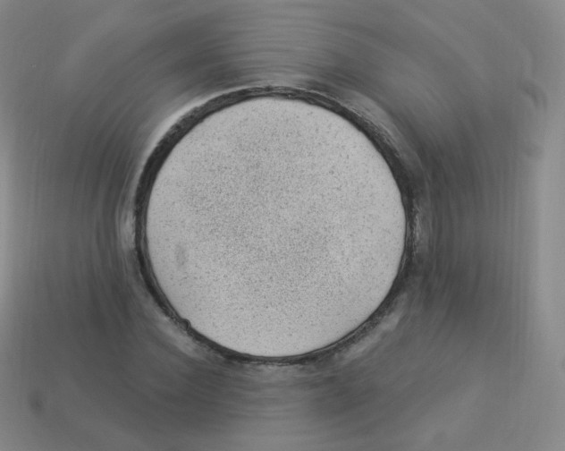 X0000113900924200910221435