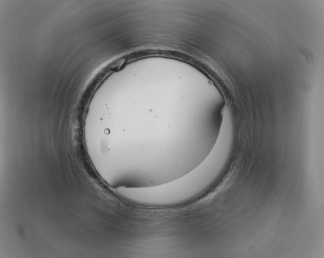 X0000113900926200910221435