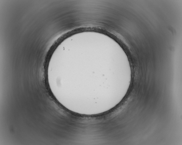 X0000113900927200910221435