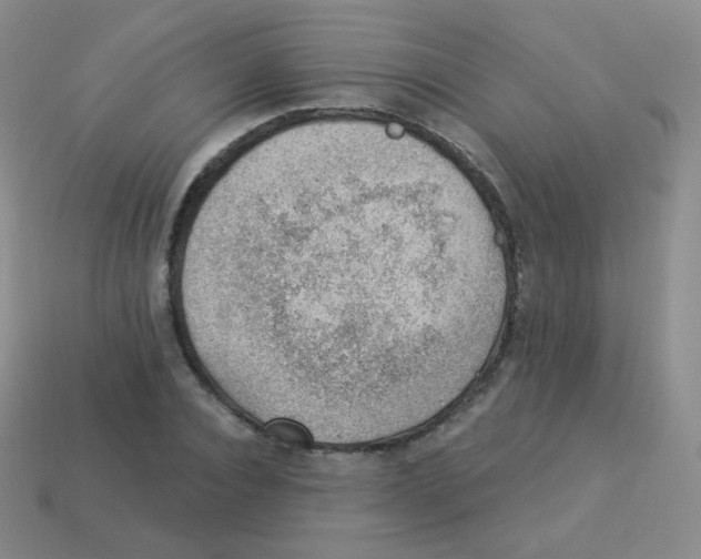 X0000113900928200910221435