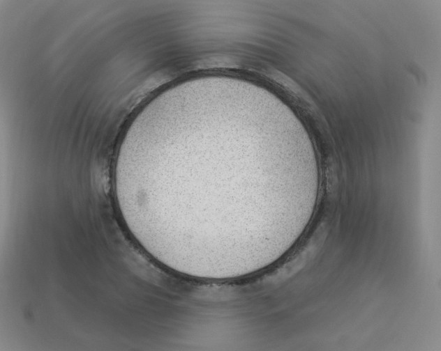 X0000113900929200910221435