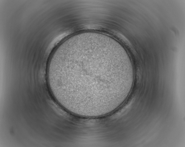 X0000113900930200910221435