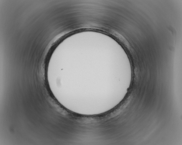 X0000113900931200910221435