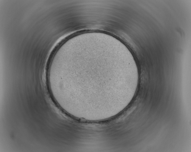 X0000113900932200910221435