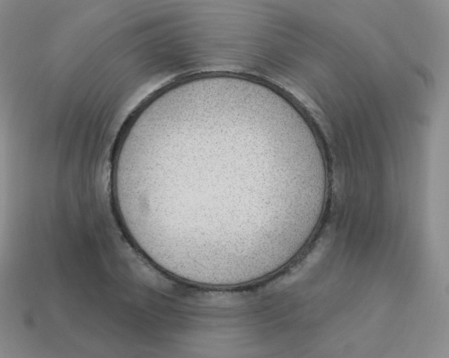 X0000113900933200910221435