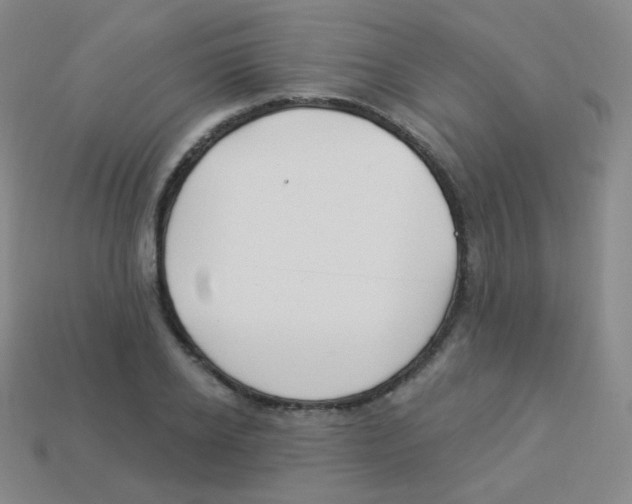 X0000113900934200910221435