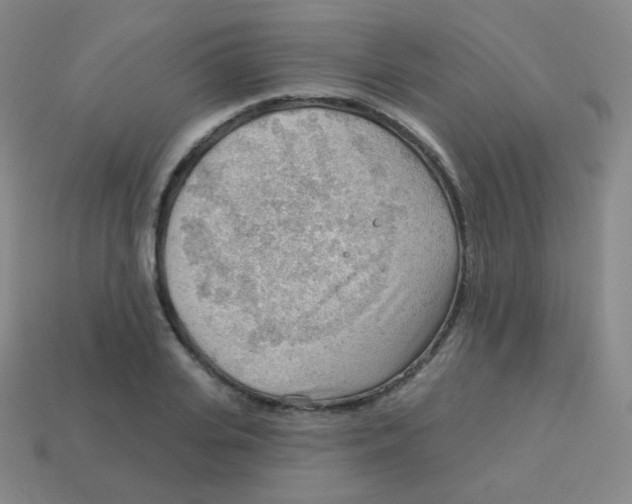 X0000113900935200910221435