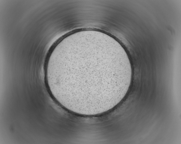 X0000113900936200910221435