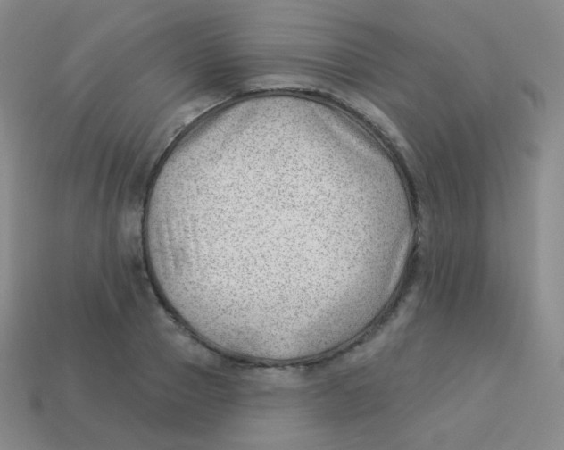 X0000113900937200910221435