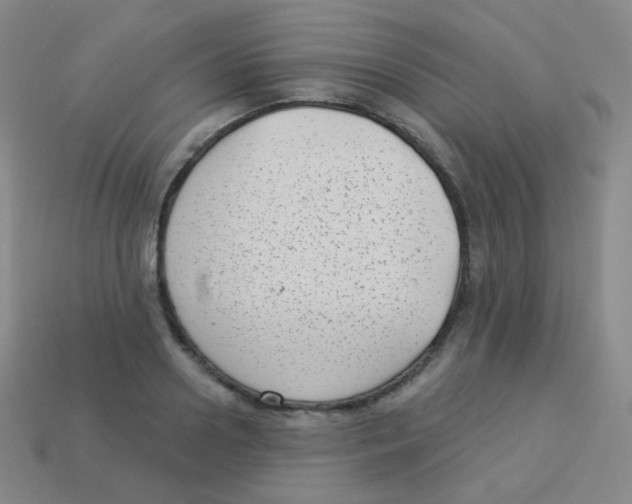 X0000113900938200910221435