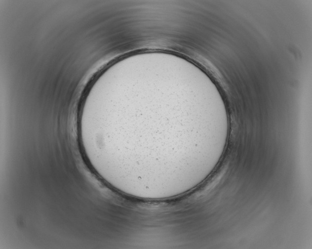 X0000113900939200910221435