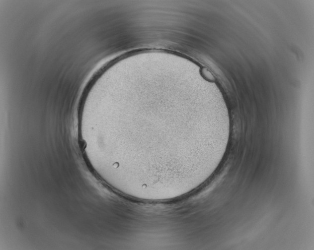 X0000113900940200910221435