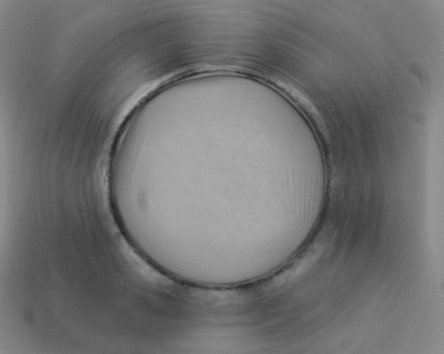 X0000113900941200910221435