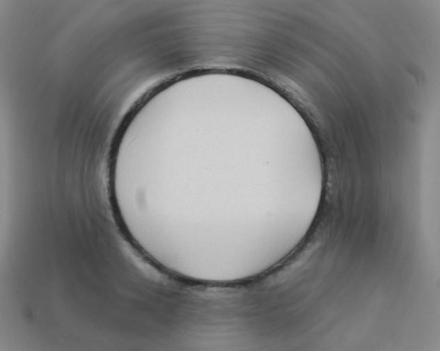 X0000113900942200910221435