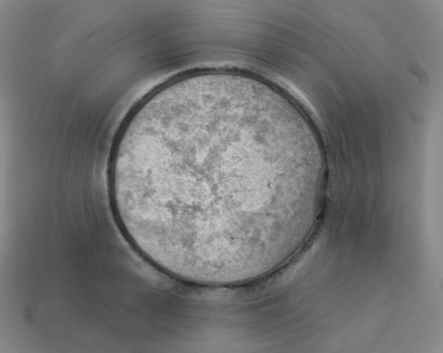 X0000113900943200910221435