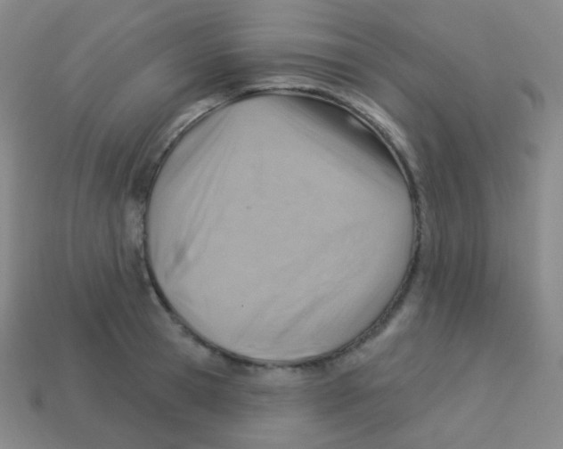 X0000113900945200910221435