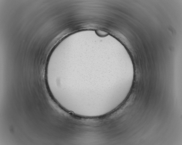 X0000113900946200910221435