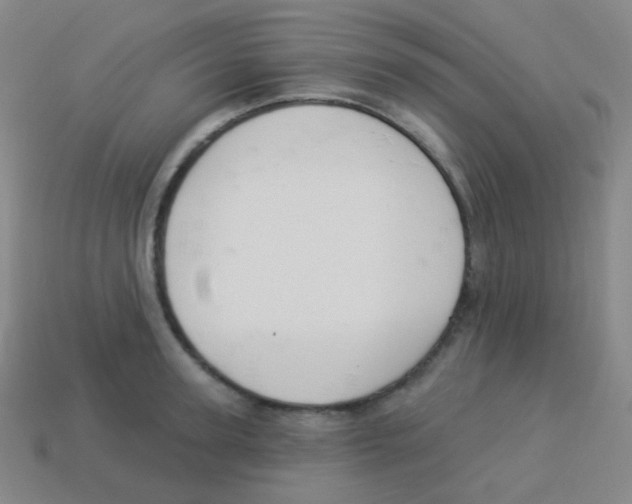 X0000113900947200910221435