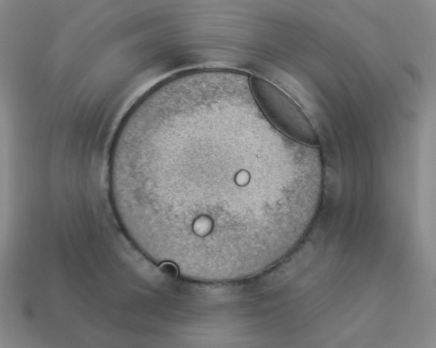 X0000113900948200910221435