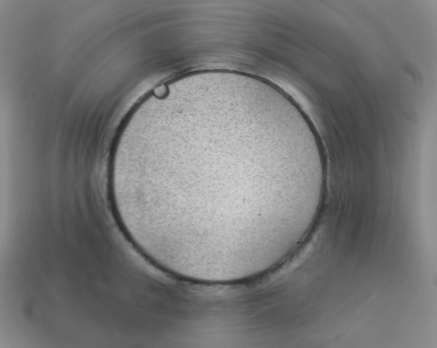 X0000113900949200910221435