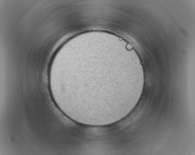 X0000113900950200910221435