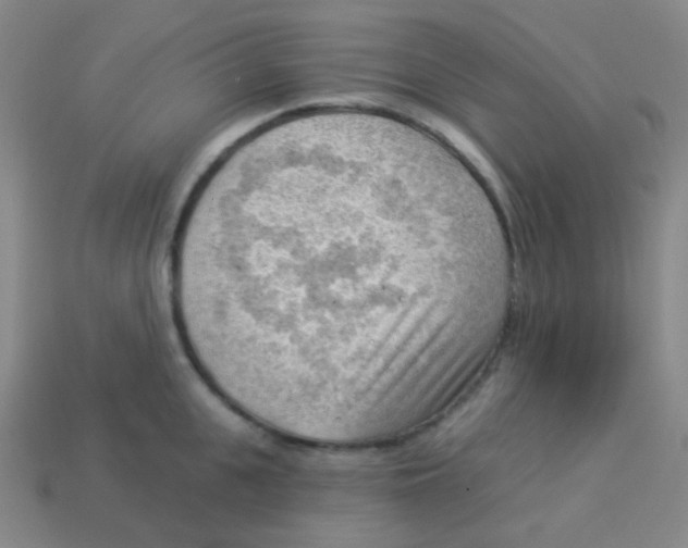 X0000113900951200910221435