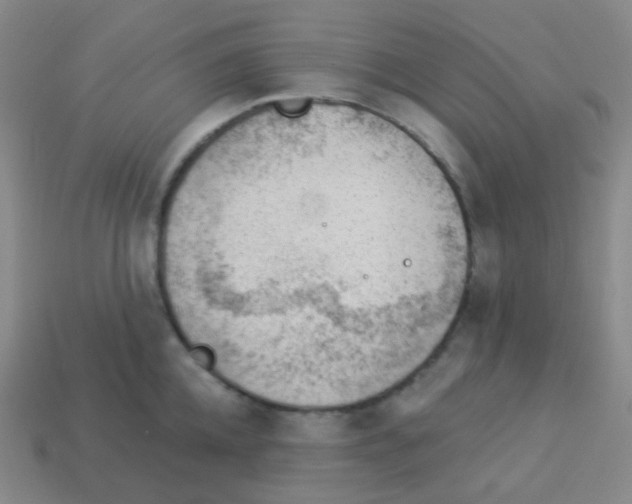 X0000113900952200910221435