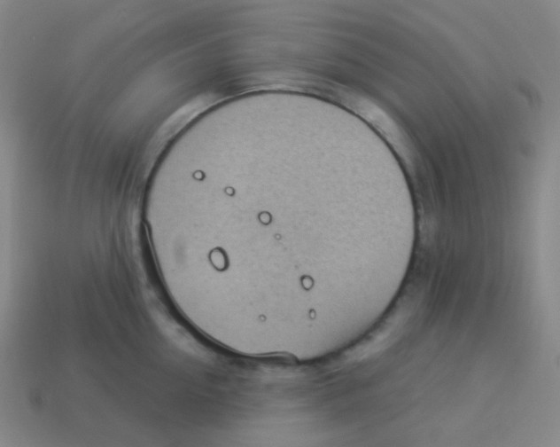 X0000113900954200910221435