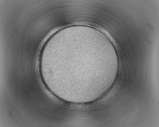 X0000113900955200910221436