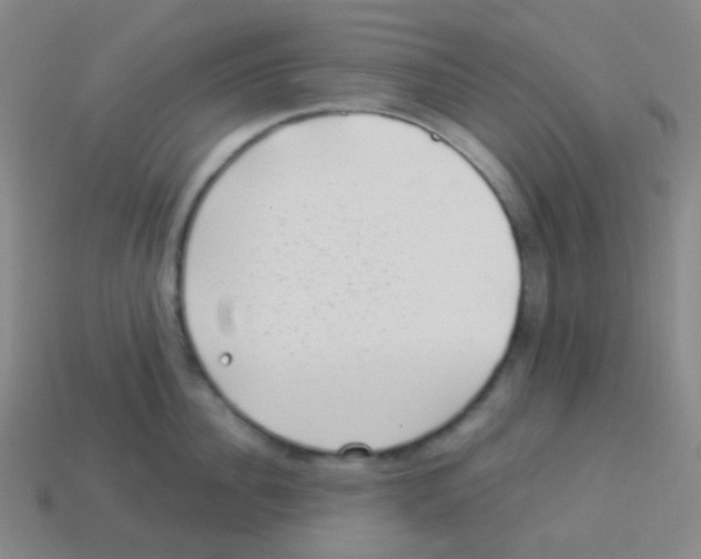 X0000113900956200910221436