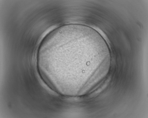 X0000113900957200910221436