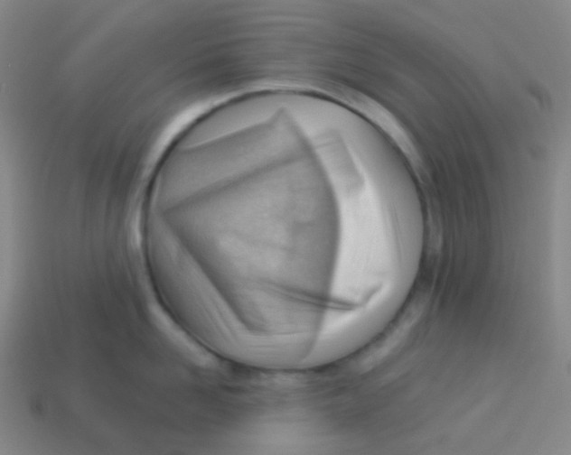 X0000113900958200910221436