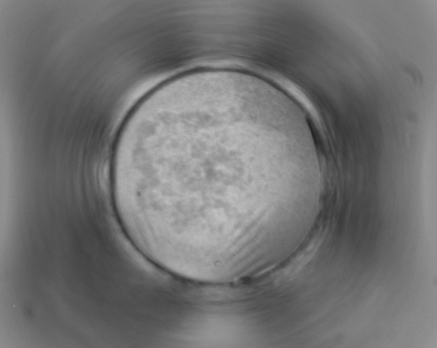 X0000113900959200910221436