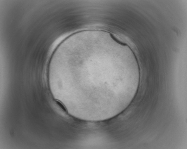 X0000113900960200910221436