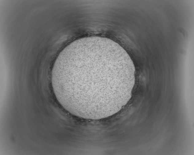 X0000113900961200910221435