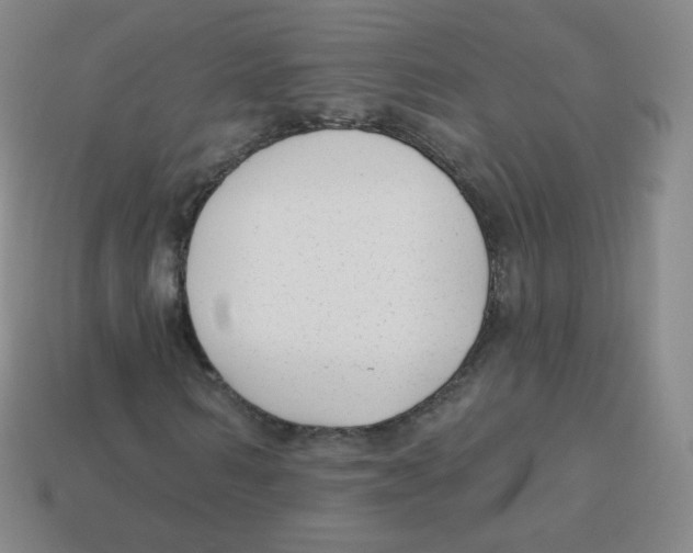 X0000113900962200910221435