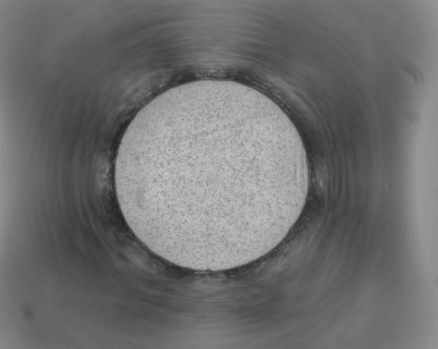 X0000113900964200910221435