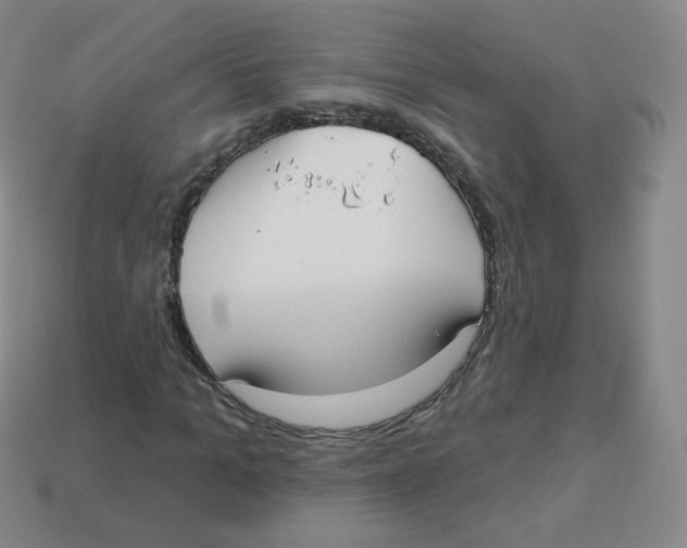 X0000113900965200910221435