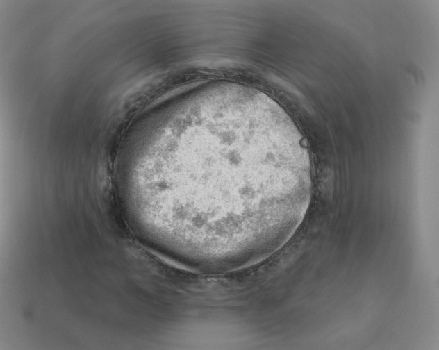 X0000113900966200910221435