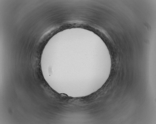 X0000113900967200910221435