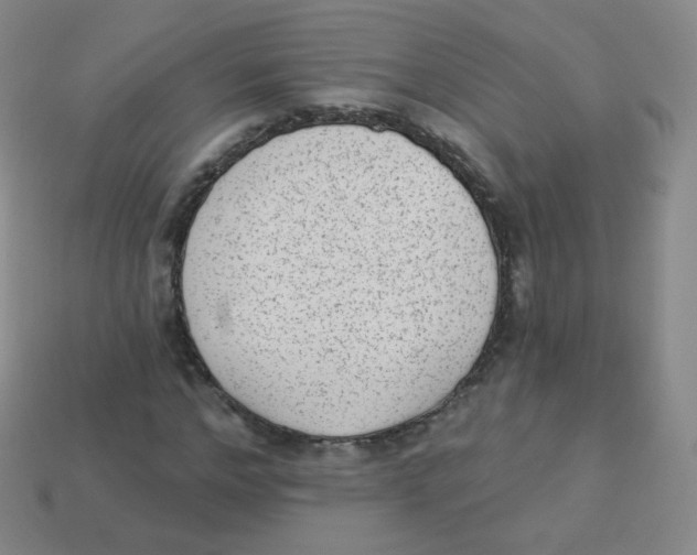 X0000113900968200910221435