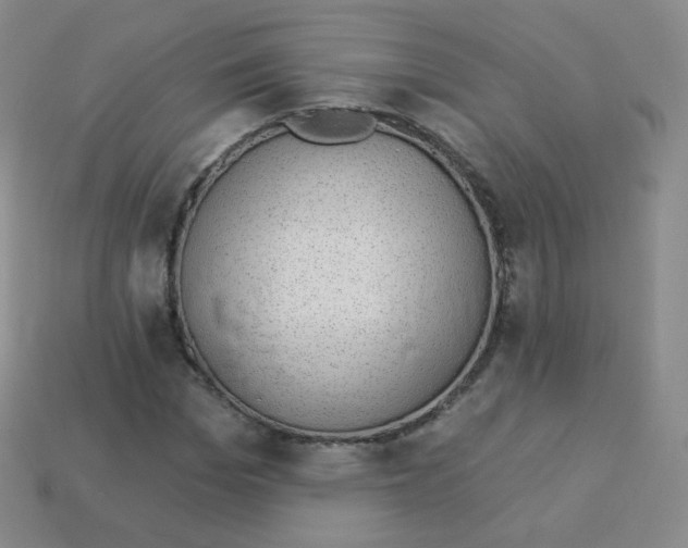 X0000113900969200910221435