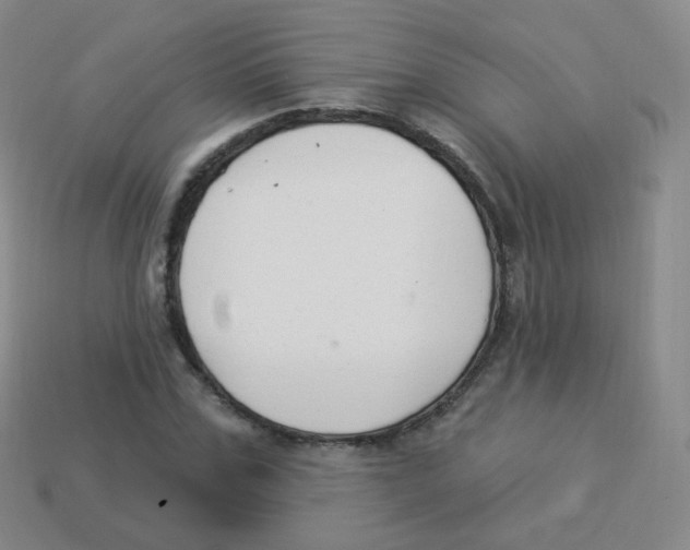 X0000113900971200910221435