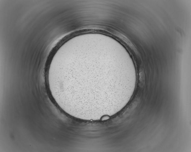 X0000113900972200910221435