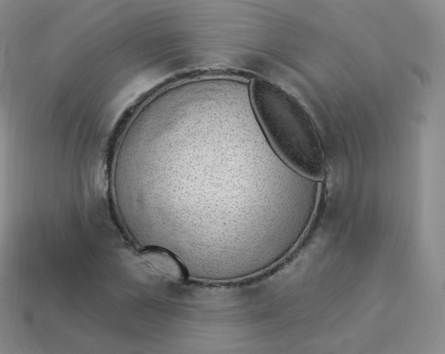 X0000113900973200910221435